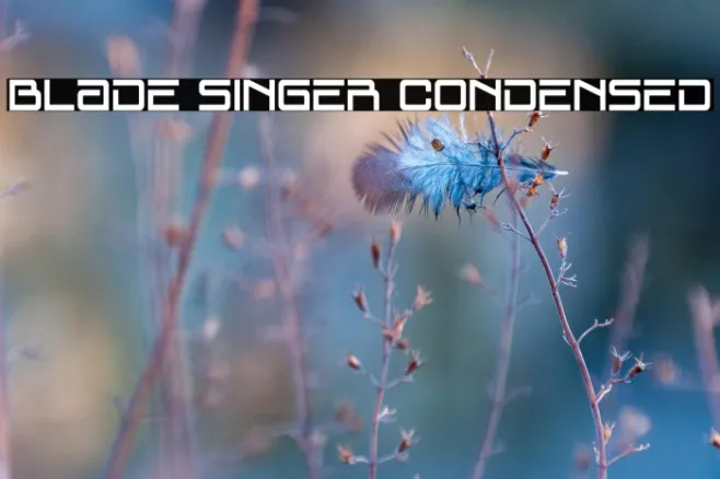 Blade Singer Condensed Example 3