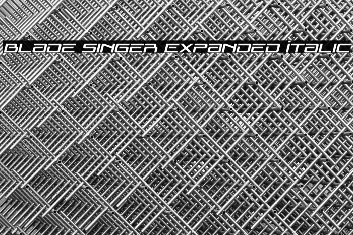 Blade Singer Expanded Italic Example 1