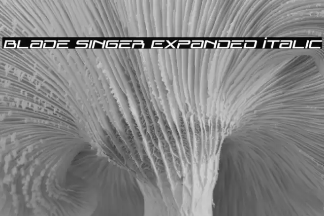 Blade Singer Expanded Italic Font examples