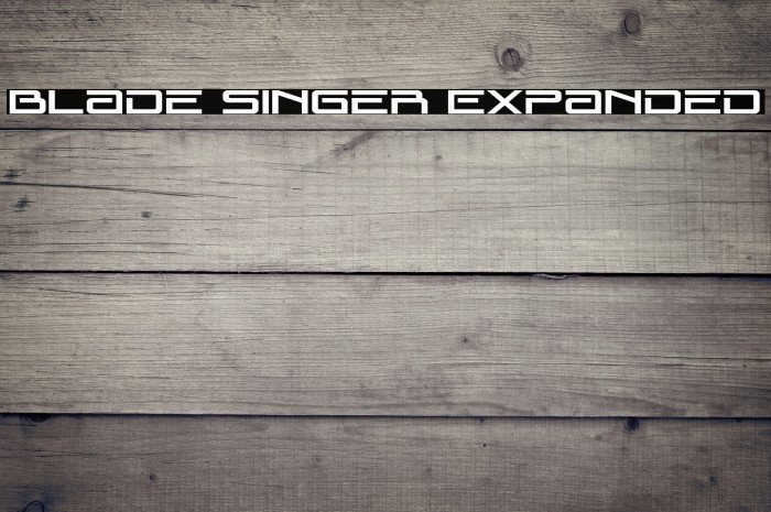 Blade Singer Expanded Example 3