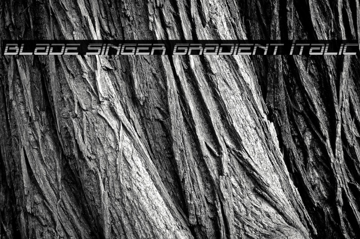 Blade Singer Gradient Italic Example 1