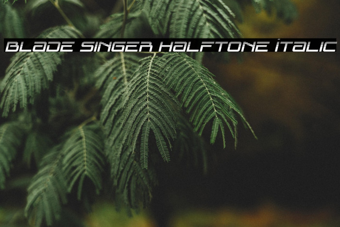 Blade Singer Halftone Italic Example 3