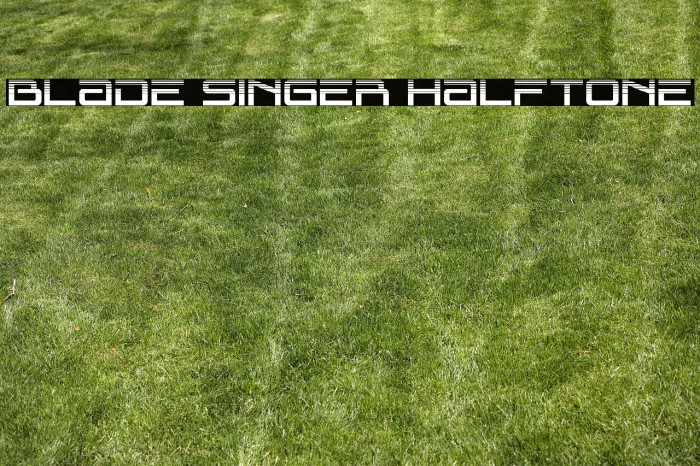 Blade Singer Halftone Example 2