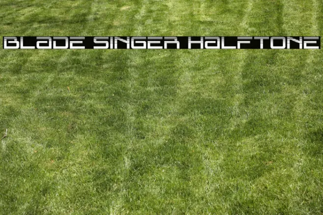 Blade Singer Halftone Example 2