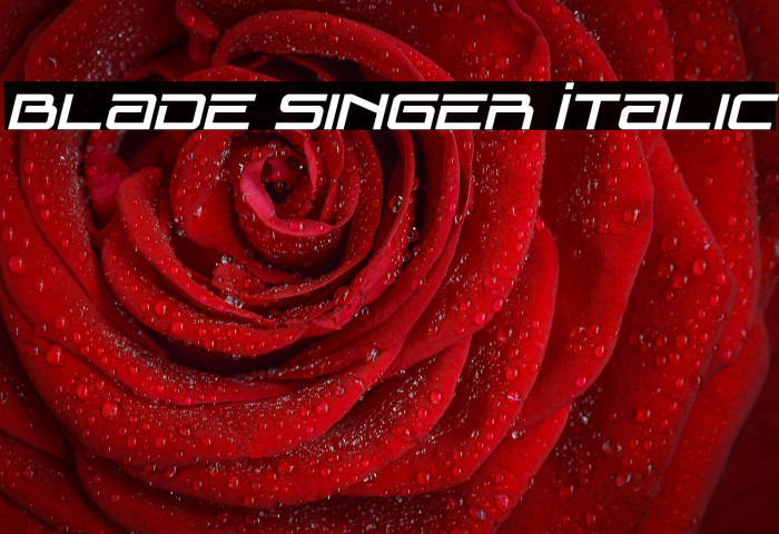 Blade Singer Italic Example 2