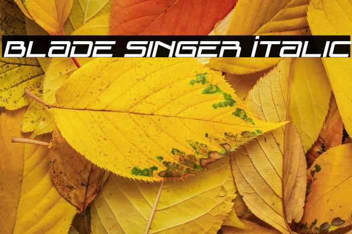 Blade Singer Italic Example 3