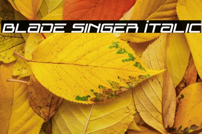 Blade Singer Italic Example 3