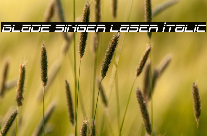 Blade Singer Laser Italic Example 2
