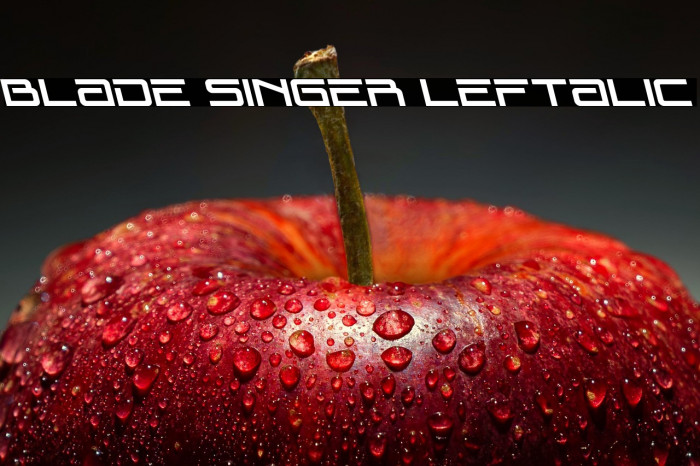 Blade Singer Leftalic Example 1