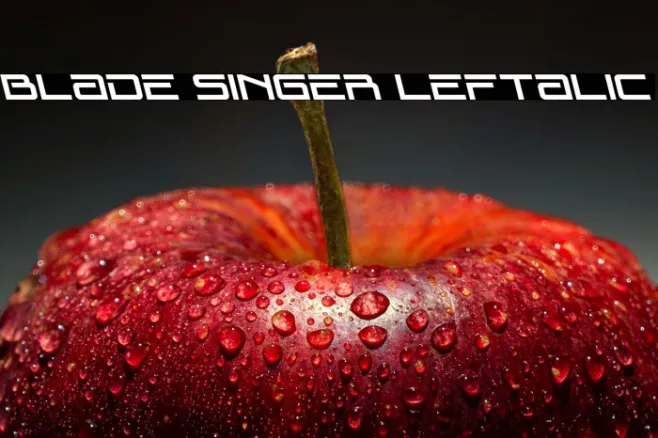 Blade Singer Leftalic Example 1