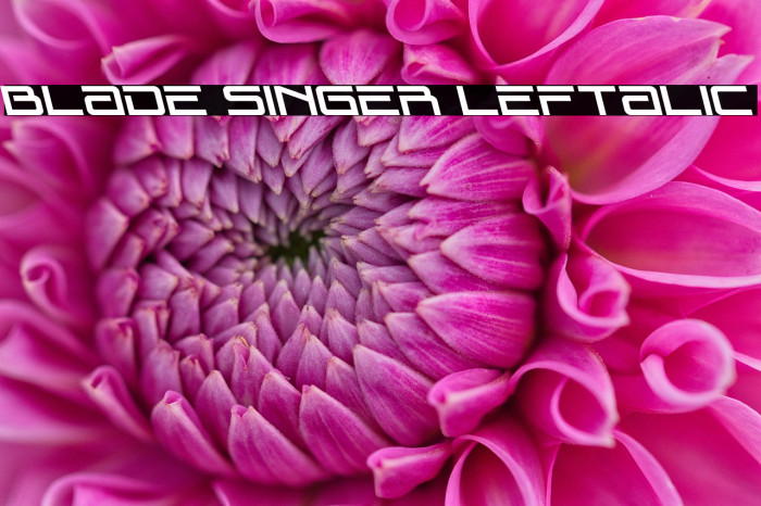 Blade Singer Leftalic Example 3