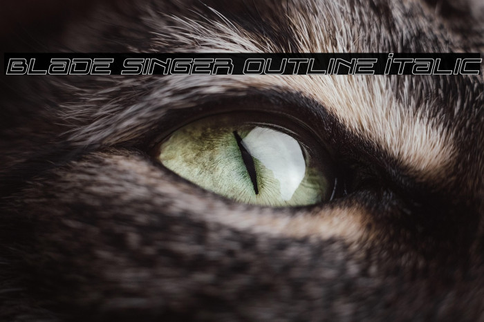 Blade Singer Outline Italic Example 1