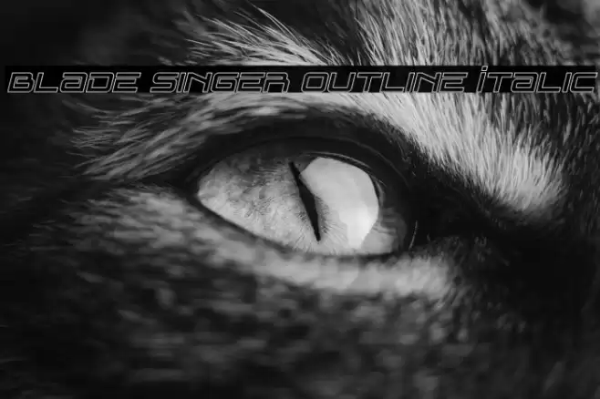 Blade Singer Outline Italic Font examples