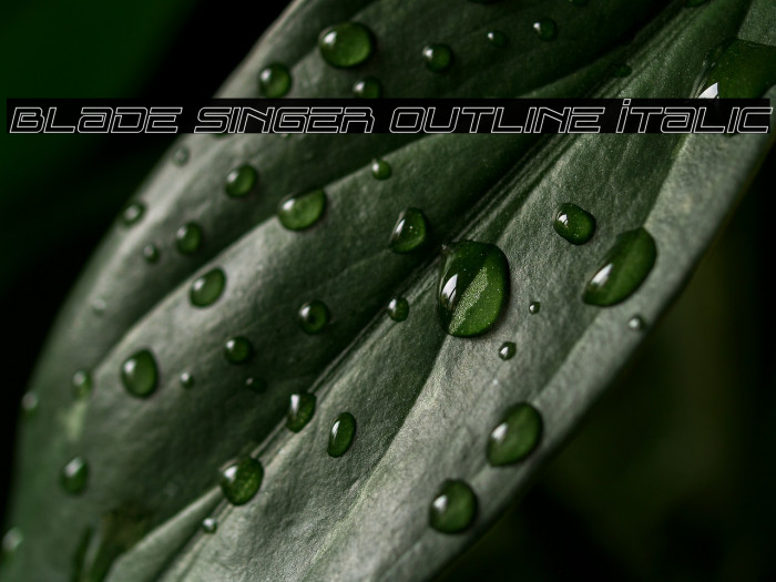 Blade Singer Outline Italic Example 3