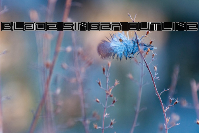 Blade Singer Outline Example 1