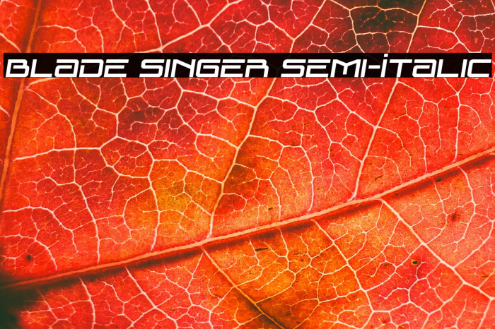 Blade Singer Semi-Italic Example 3