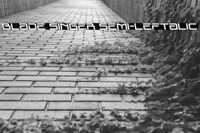 Blade Singer Semi-Leftalic Font examples