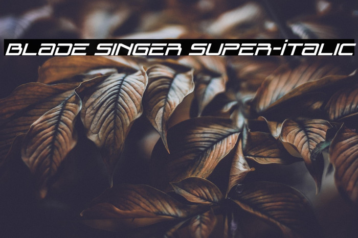Blade Singer Super-Italic Example 2
