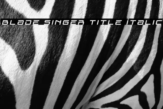 Blade Singer Title Italic Font examples