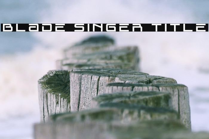 Blade Singer Title Example 1