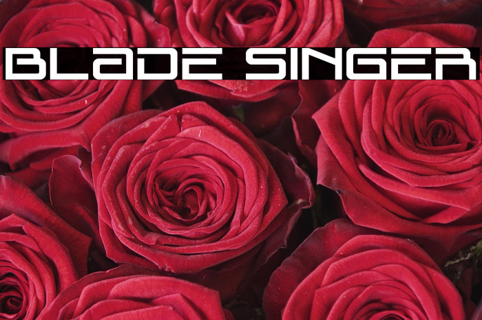 Blade Singer Example 2