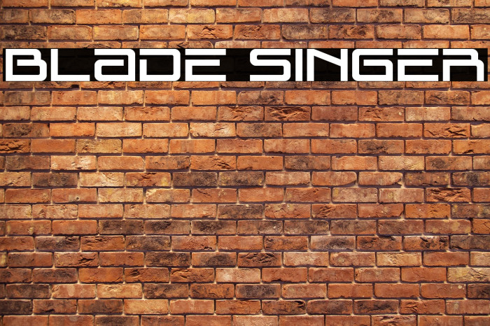 Blade Singer Example 3