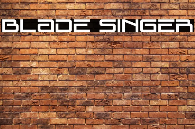 Blade Singer Example 3