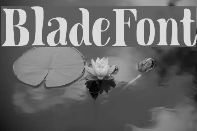 BladeFont Font examples