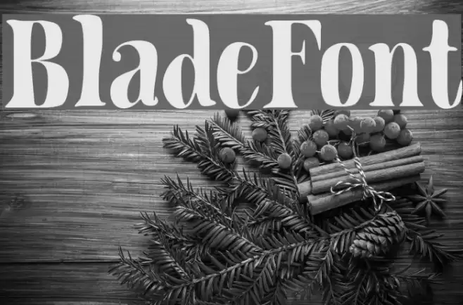 BladeFont Font examples
