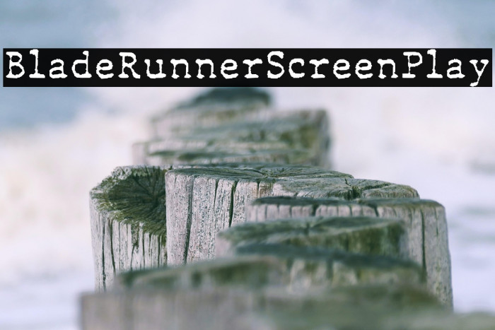 BladeRunnerScreenPlay Example 2