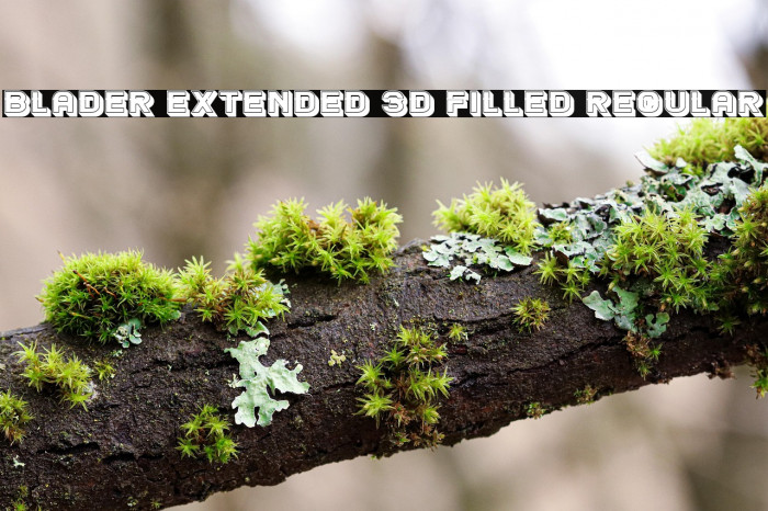 Blader Extended 3D Filled Regular Example 2