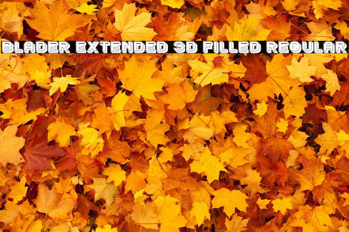 Blader Extended 3D Filled Regular Example 3