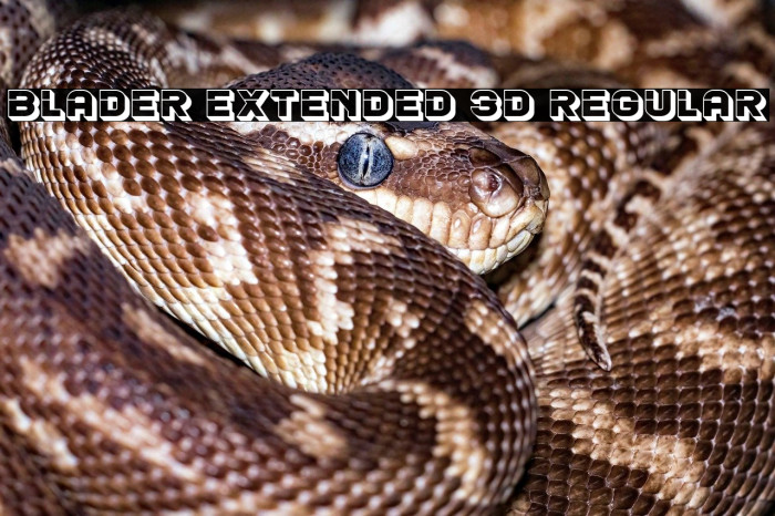 Blader Extended 3D Regular Example 1