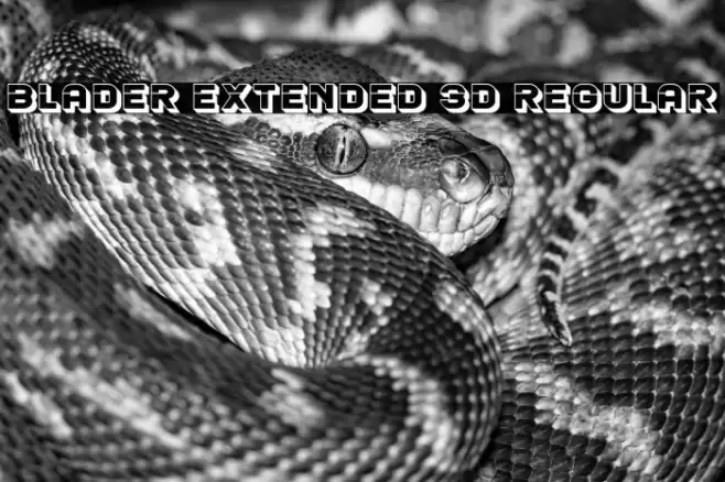 Blader Extended 3D Regular Font examples