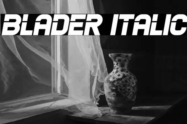Blader Italic Font examples