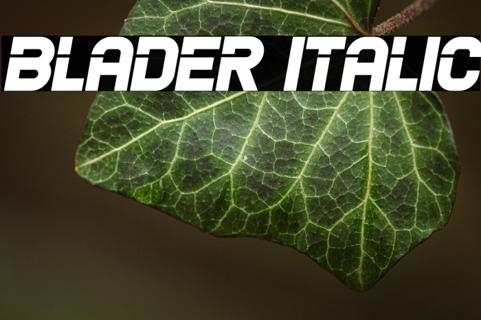 Blader Italic Example 3