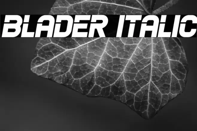 Blader Italic Font examples
