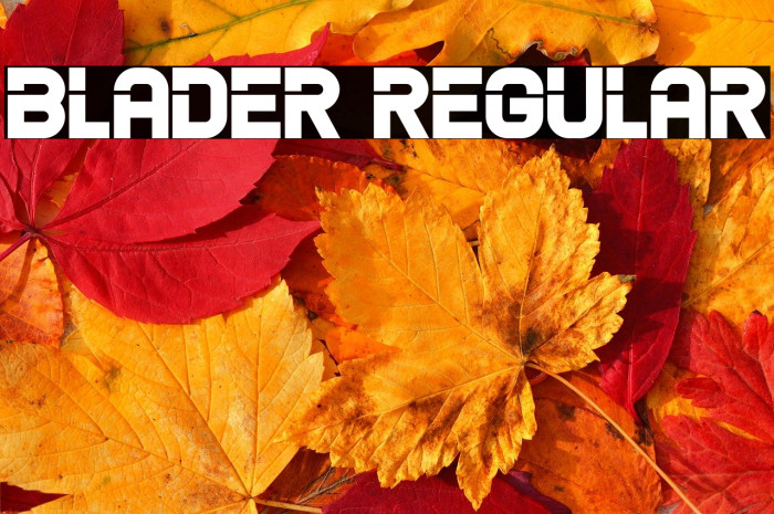 Blader Regular Example 2
