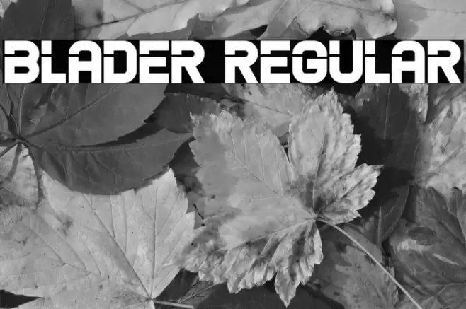 Blader Regular Font examples