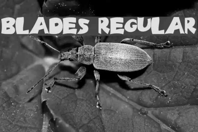 Blades Regular Font examples