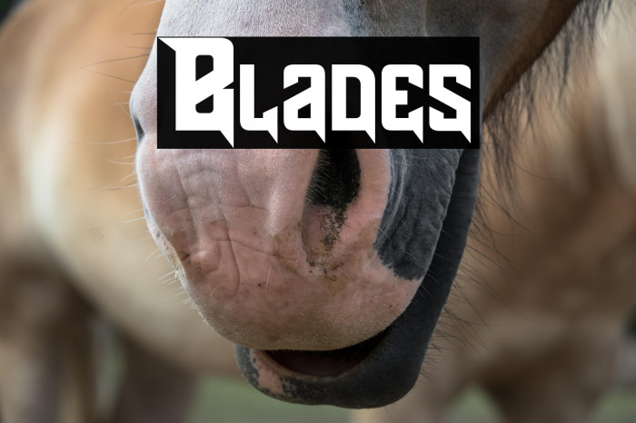 Blades Example 1