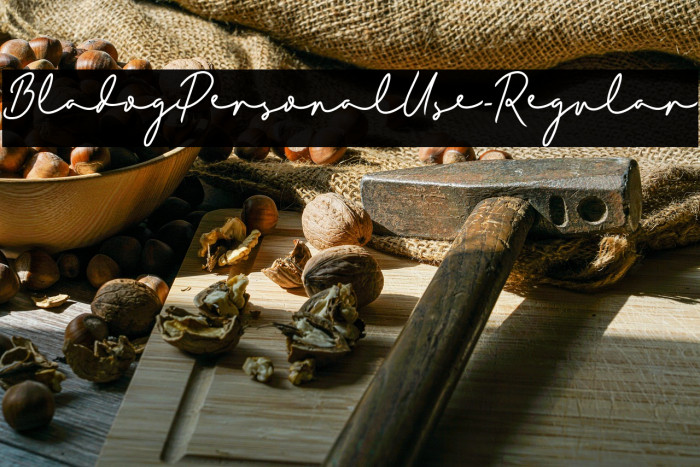 BladogPersonalUse-Regular Example 2