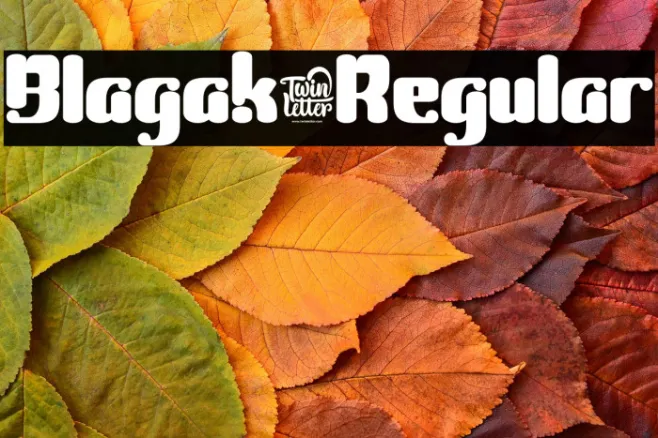 Blagak-Regular Example 2