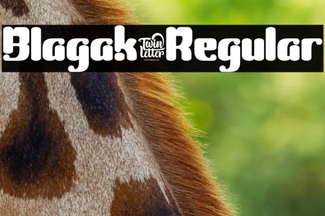 Blagak-Regular Example 3