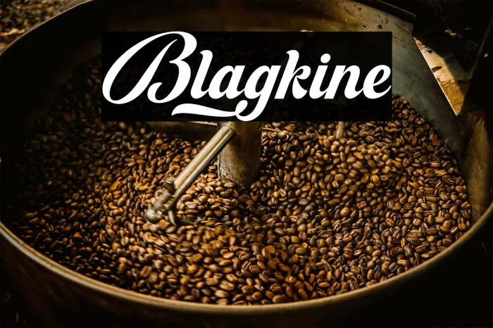 Blagkine Example 1