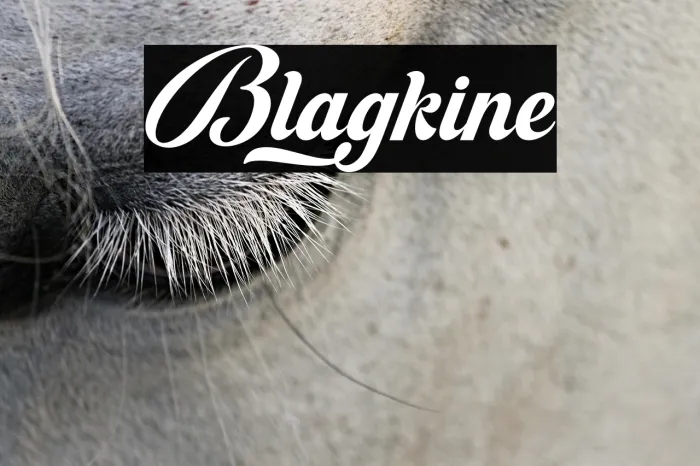 Blagkine Example 2