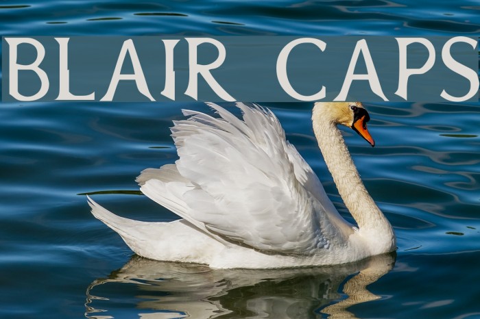 Blair Caps Example 2