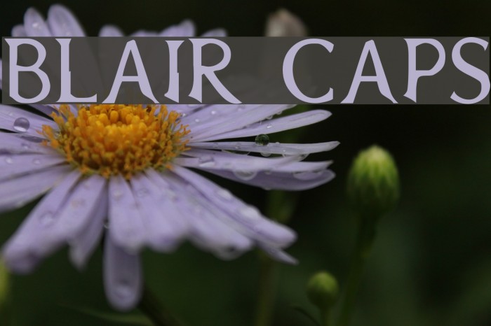 Blair Caps Example 3