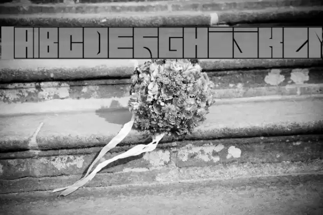 Blaise-1-1 Font examples