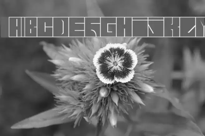 Blaise-1-1 Font examples